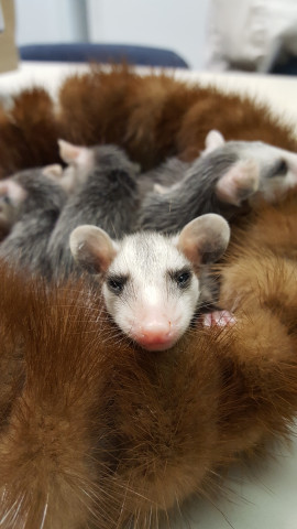 Agency Photo  (116559)