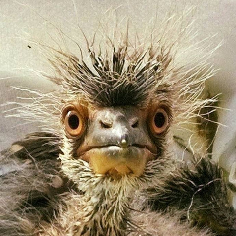 Agency Photo  (116563)