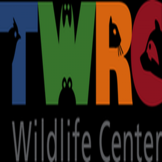 Agency Logo