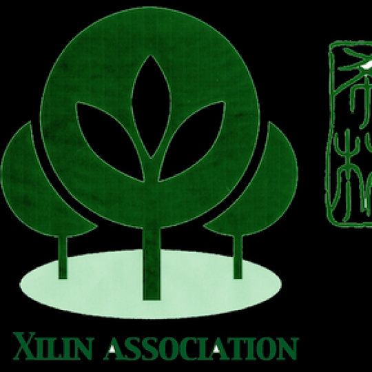 Organization Logo