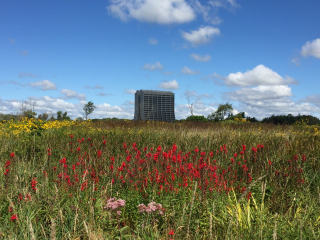 Organization Photo  (146385)