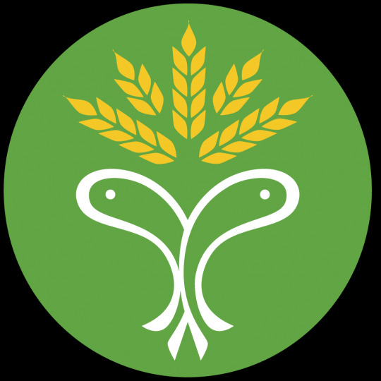Organization Logo