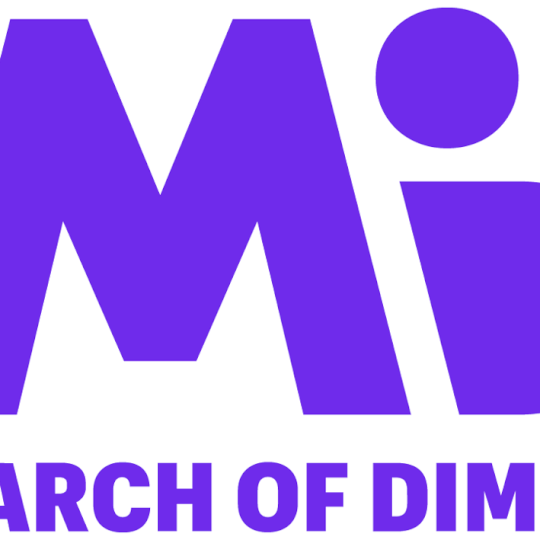 Organization Logo
