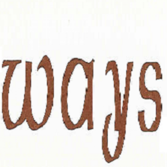 Organization Logo