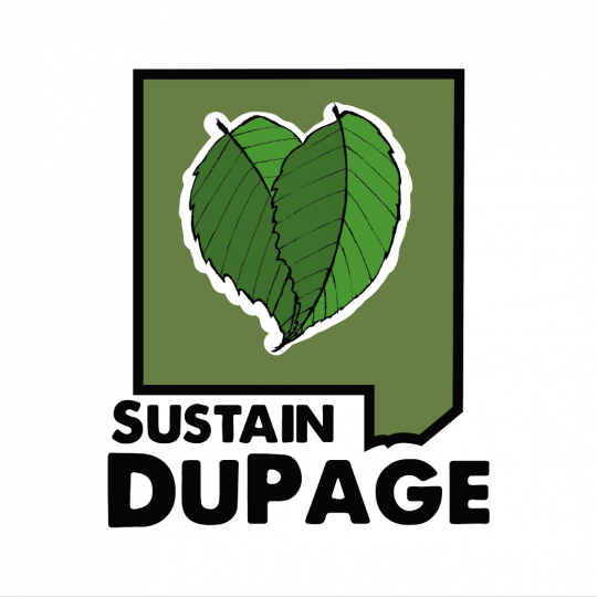 Organization Logo