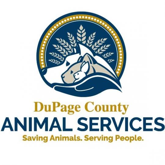 Organization Logo