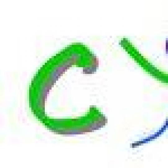 Organization Logo