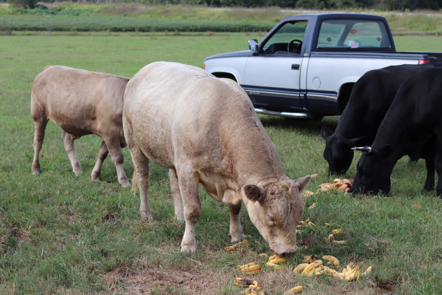 Partner Photo  (158681)