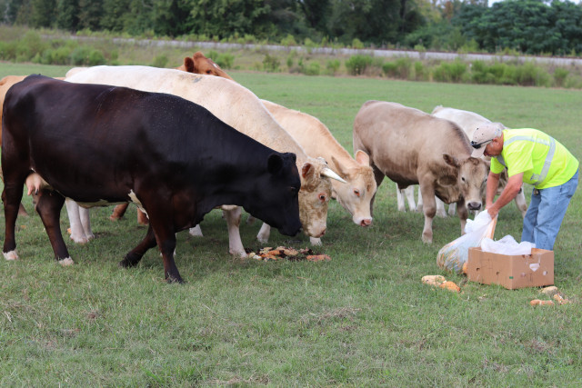 Partner Photo  (158674)