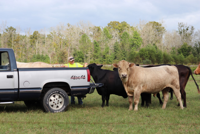 Partner Photo  (158673)