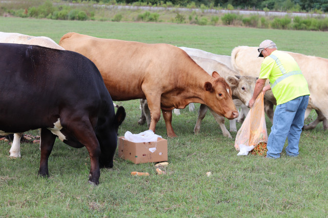 Partner Photo  (158675)