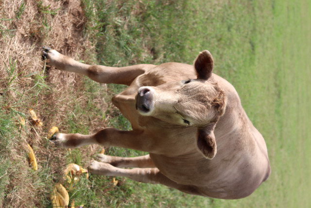 Partner Photo  (158679)