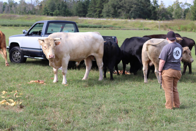 Partner Photo  (158678)