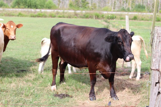 Partner Photo  (158672)