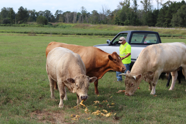 Partner Photo  (158680)