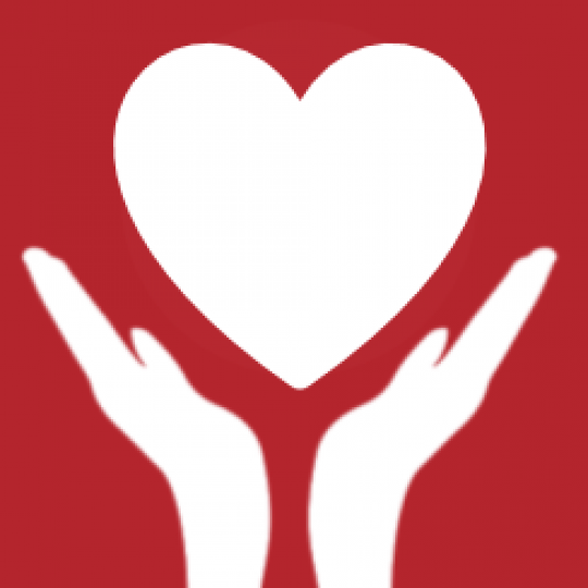 Partner Logo