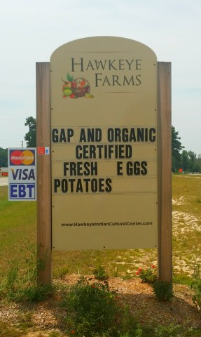 Partner Photo  (49293)