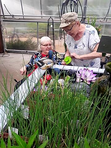 Agency Photo  (133861)