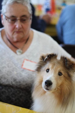 Agency Photo  (46167)