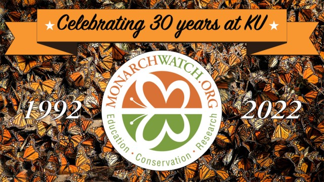 Agency Photo  (184071)