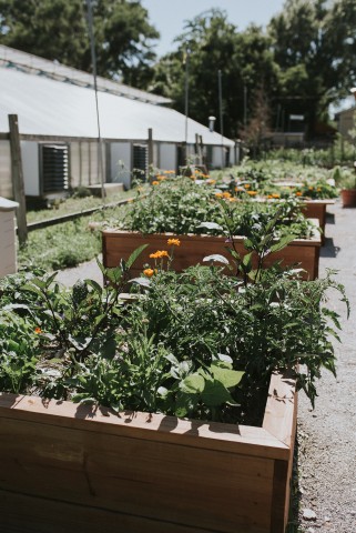 Agency Photo  (185327)