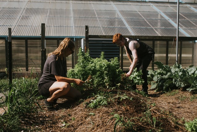 Agency Photo  (185325)