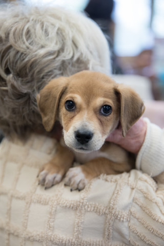 Agency Photo  (124955)