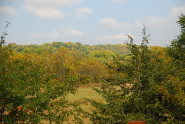Agency Photo  (70613)