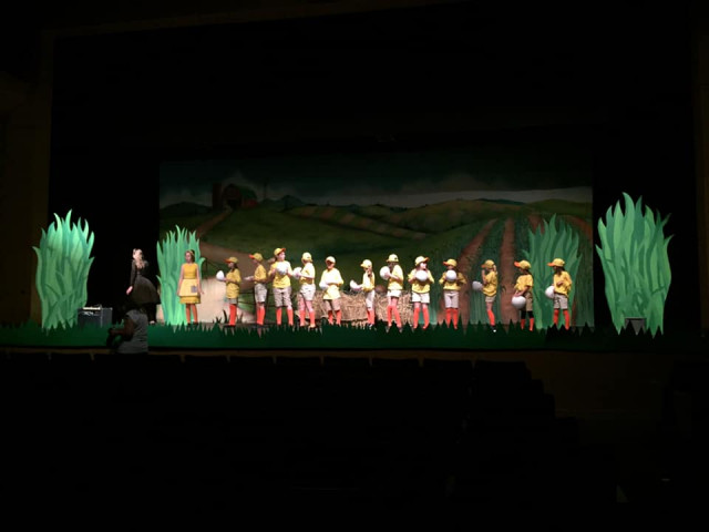 Agency Photo  (143052)