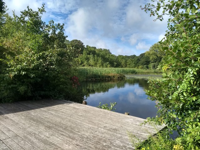 Agency Photo  (209099)