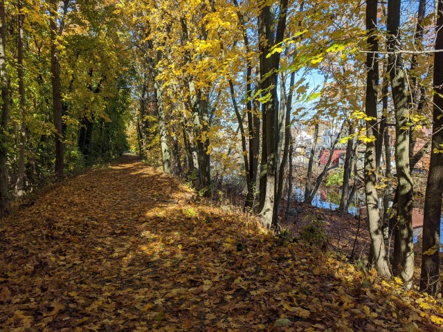 Agency Photo  (209098)