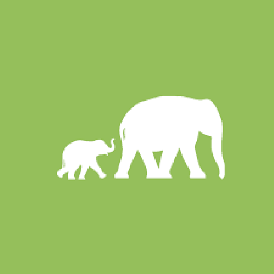 Agency Logo