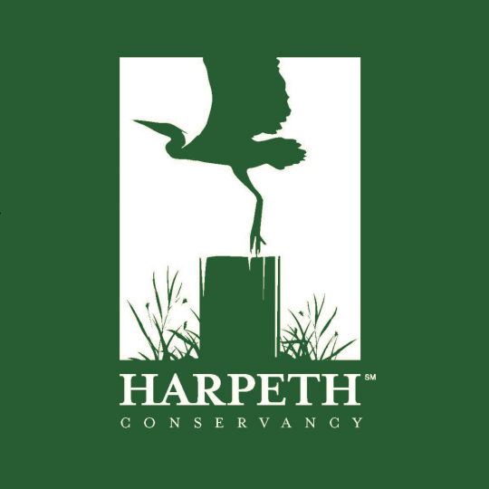 Agency Logo