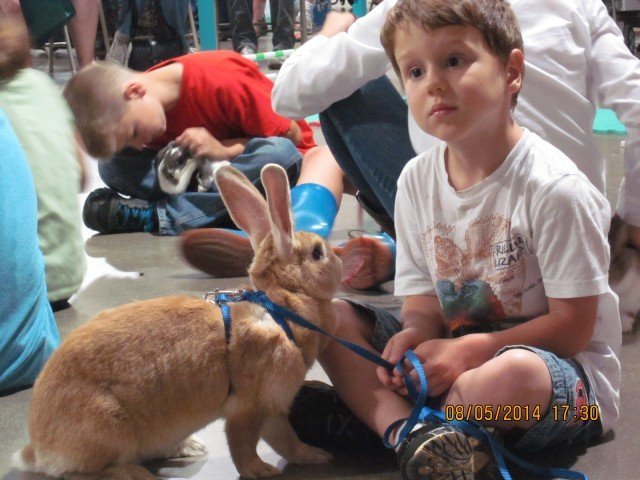 Agency Photo  (251793)