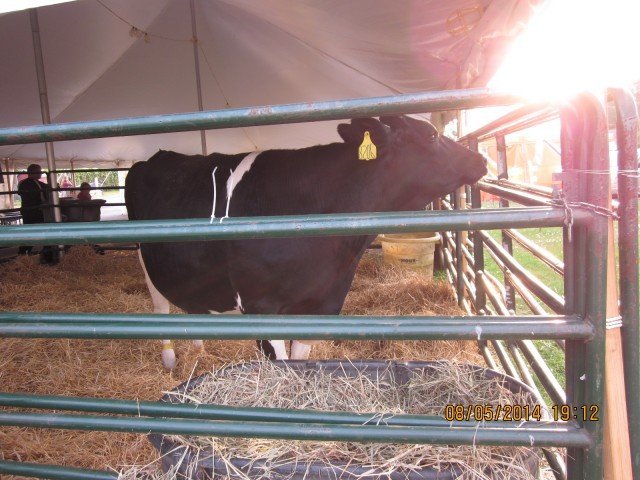 Agency Photo  (251795)