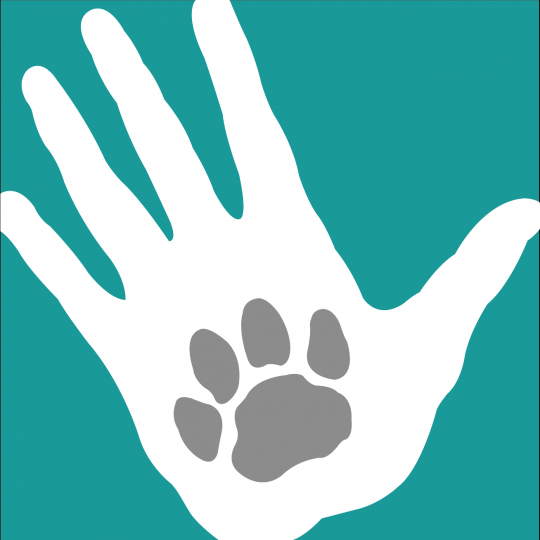 Agency Logo