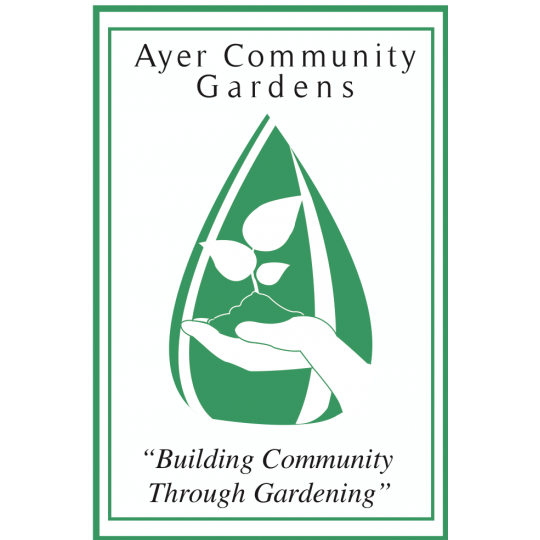Agency Logo