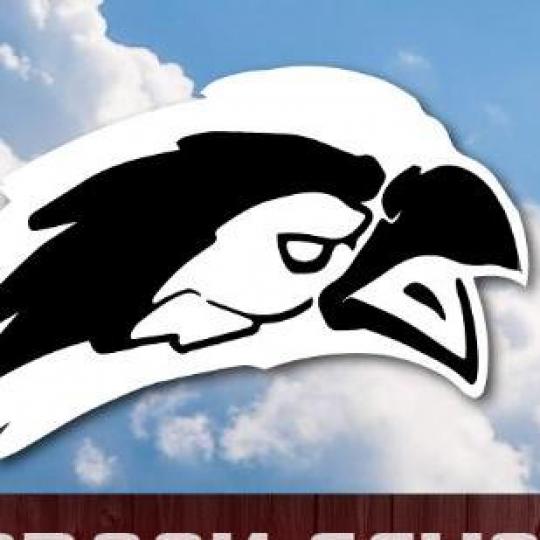 Agency Logo