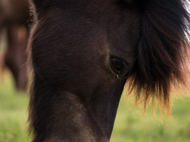 Agency Photo  (99327)