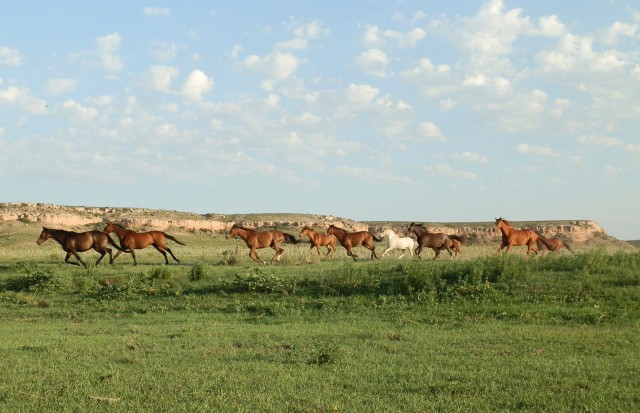 Agency Photo  (99316)