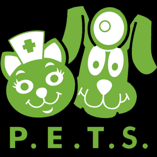Agency Logo