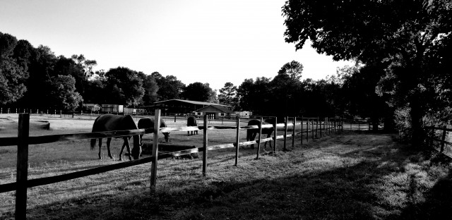 Agency Photo  (130298)