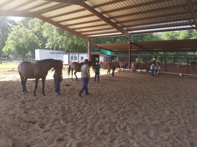 Agency Photo  (130297)