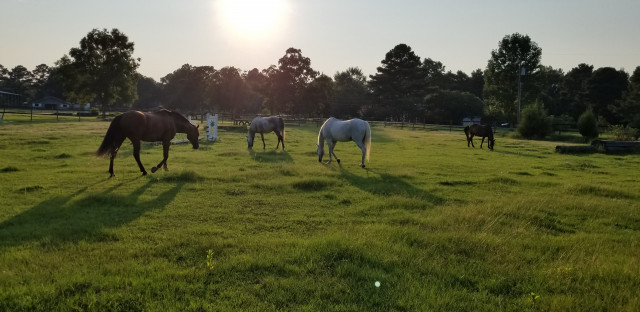 Agency Photo  (130276)