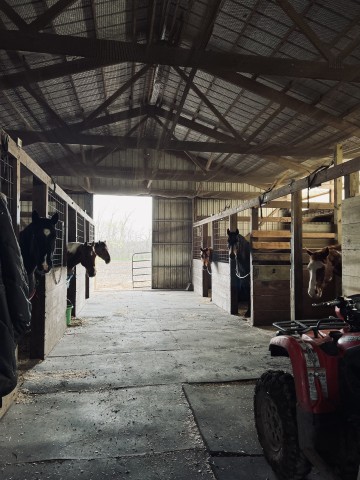 Agency Photo  (189630)