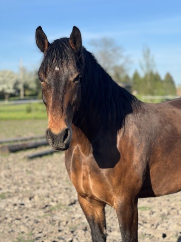 Agency Photo  (189625)