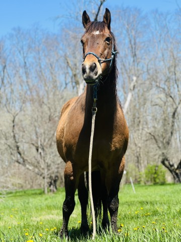 Agency Photo  (189628)
