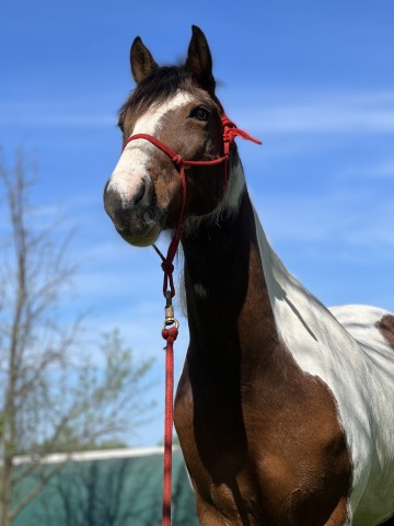 Agency Photo  (189627)