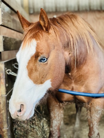 Agency Photo  (189629)