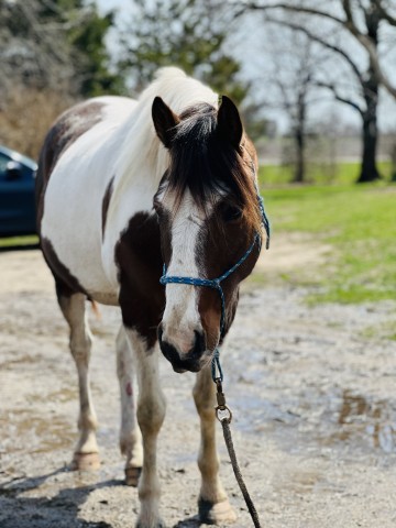 Agency Photo  (189624)
